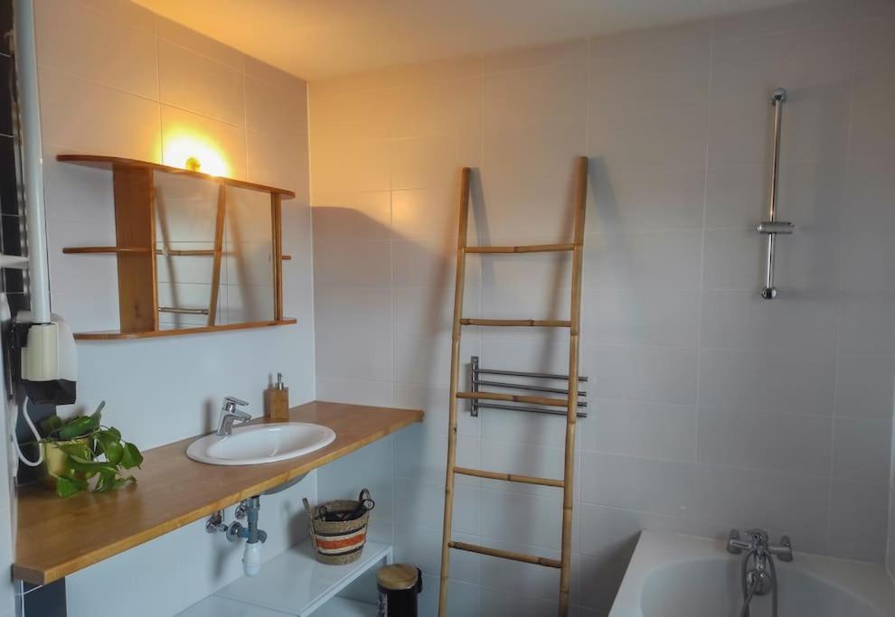 Bel Appartement En Centre Alsace كينتزهيم المظهر الخارجي الصورة