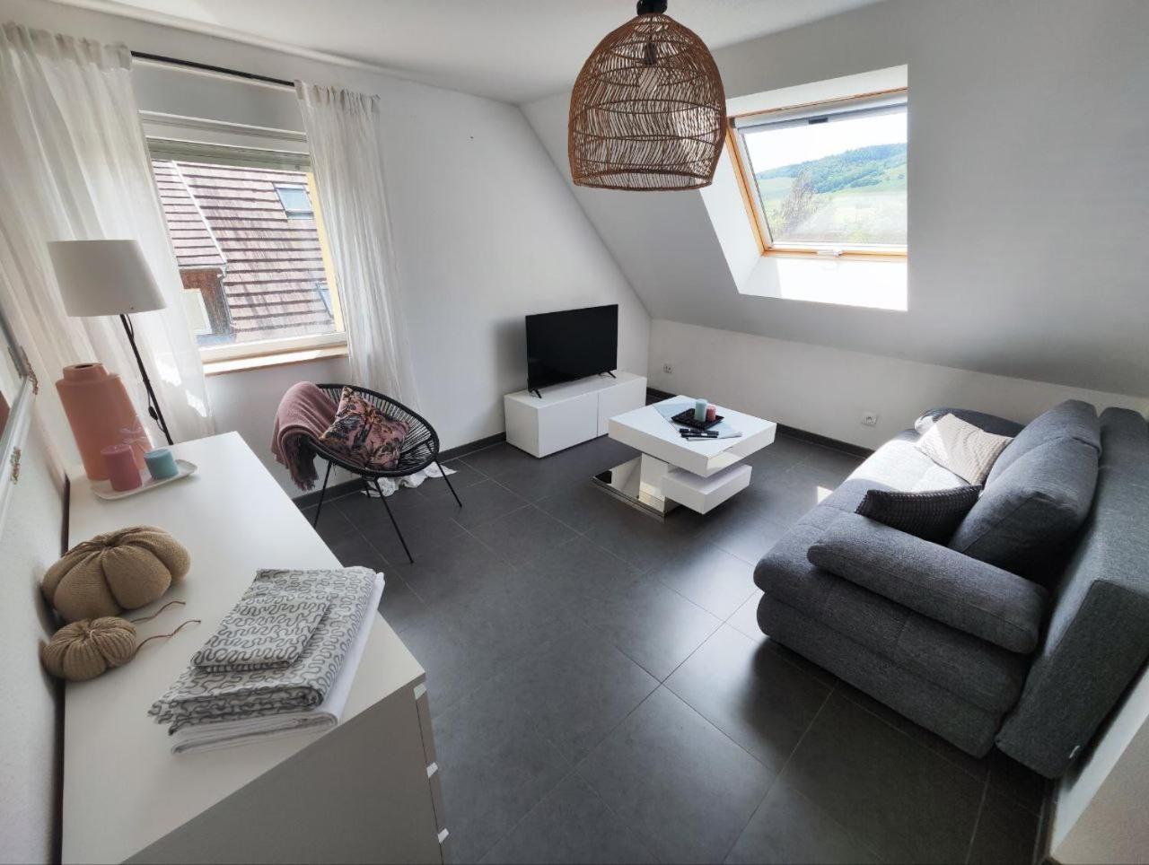 Bel Appartement En Centre Alsace كينتزهيم المظهر الخارجي الصورة